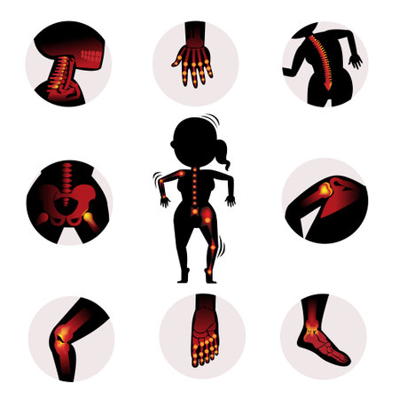 Bones and joints in the circle .Vector Illustrationのイラスト素材