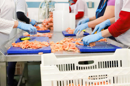 fish factory High quality photo