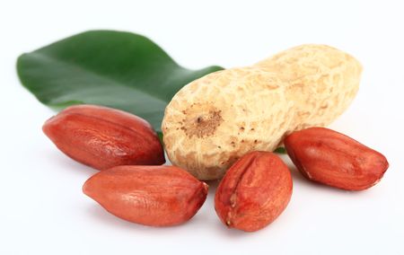 Peanuts on a white backgroundの写真素材