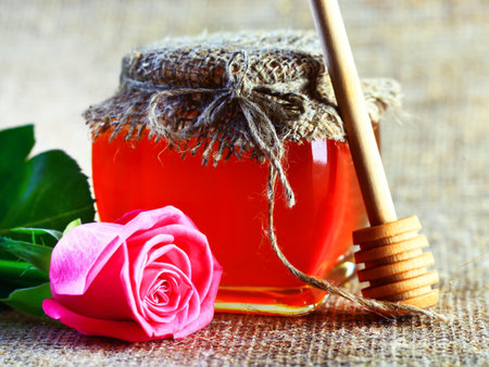 Honey bee on a white backgroundの写真素材