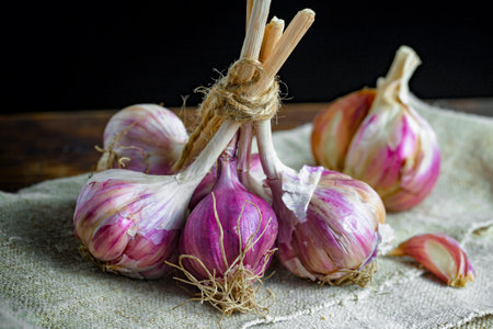 Garlic bulbs on sackcloth over black background. Rustic style.