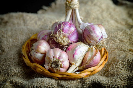 Garlic in a wicker basket on a sackcloth background.