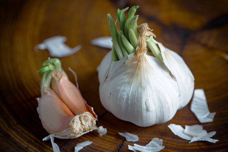 Garlic on a wooden background. Close-up of garlic bulbs.の写真素材