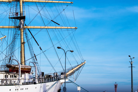 A big white passenger ship is moored.