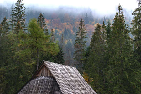 An old wooden house in the middle of an autumn forest and hilly terrainの写真素材