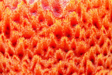 Patterns of pottery Paintedの写真素材