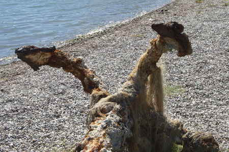 Old anchorの写真素材