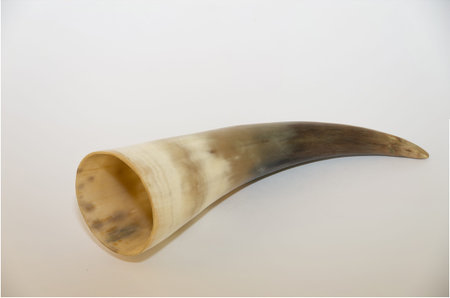Souvenir of the horns of a mountain goat. Hunting trophy from which mountain people to drink wine,...