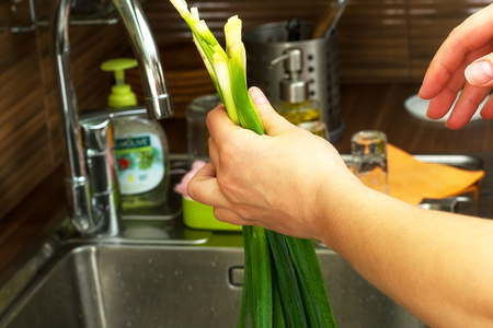 Green onions close-upの写真素材