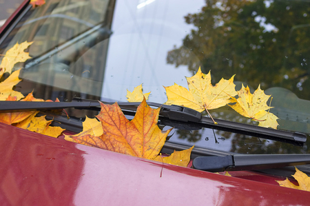 Autumn leaves covered carの写真素材