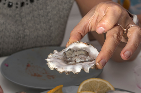 oyster from the sea close-upの写真素材