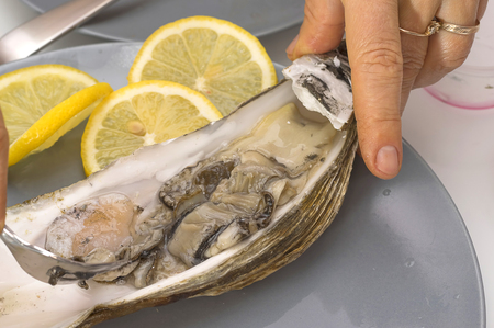 sea oyster in an open shell on a plate, nutritious healthy delicious food, delicacy and vegetarian foodの写真素材
