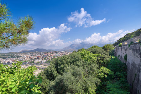 Landscape on a city drowning in green foliage on a summer dayの写真素材