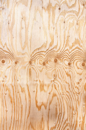 Background from leaf foners, in the texture of swirls and tree structure
