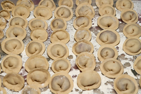 Raw dumplings laid out on white flour