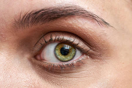 Close up of a beautiful female eye and a processed eyebrow, macro shotの写真素材