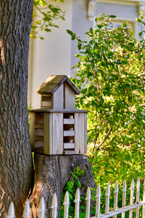 Multi storey bird house on a tree stump in the park, bird feeder