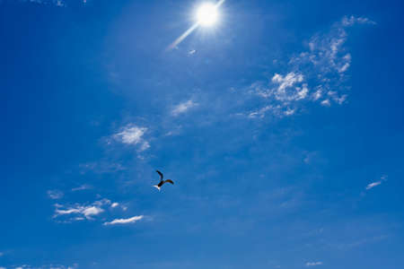Silhouette of a helicopter against a blue sky with cloudsの写真素材