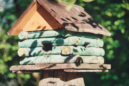 Wooden birdhouse in the form of a house on a stump in the park, bird feeder
