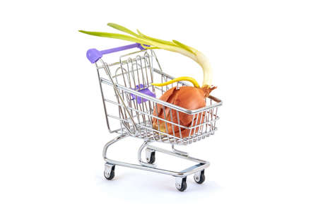 Sprouted bulb in a supermarket trolley on a white backgroundの写真素材