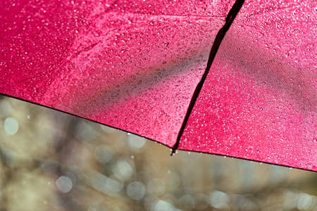 Fragment of a red umbrella with raindrops on a sunny summer dayの写真素材