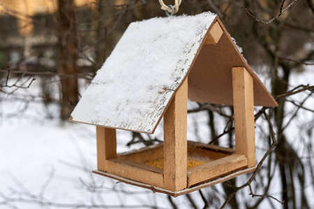 Feeder with sprinkled cereal, feeding birds in winterの写真素材
