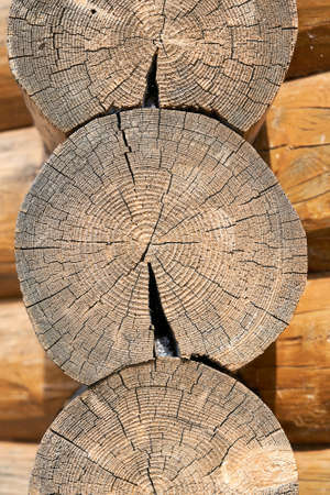 The texture of the tree on the cut of a log. Vertical shotの写真素材