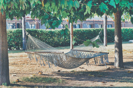 Rope hammock hanging between the trees to relax on a hot summer day. Empty hammock close upの写真素材