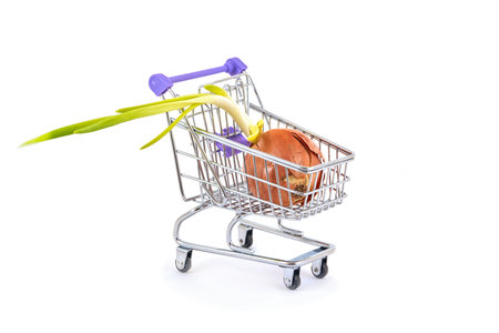 Ripe bulb in a supermarket trolley on a white backgroundの写真素材