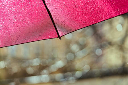 Fragment of a red umbrella with raindrops on a sunny summer dayの写真素材