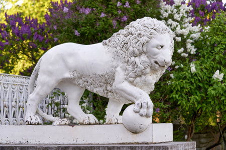 lion against the background of blooming lilacs of Elagin Palace of Petersburgのeditorial素材