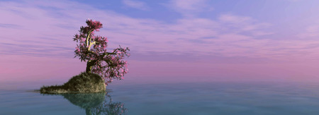 A lonely tree with reflection in the waterの写真素材