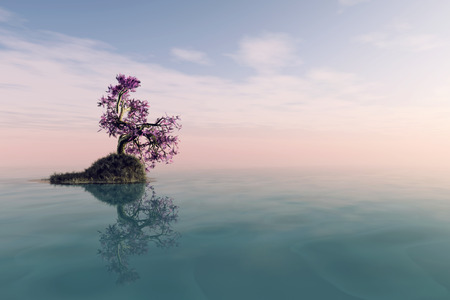 A lonely tree with reflection in the waterの写真素材
