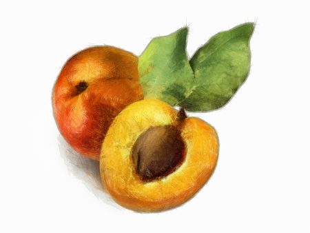C.G.I. made painting of a fresh peach with leaf, plus a slice of peach (fruit collection)の写真素材