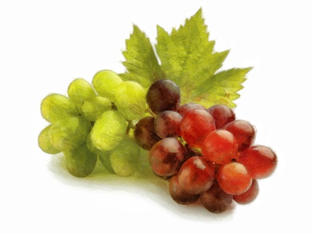 C.G.I. made Painting of a bunch of white and red grapes with leaves (collection of fruits)の写真素材