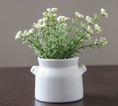 white flower in a white vase on a wooden tableの写真素材