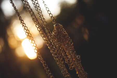 Golden chain at sunset on nature. Sunset.の写真素材