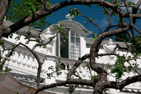 Close-up. An open window at the top of the house. Facade of an old white building. Trees and plants...