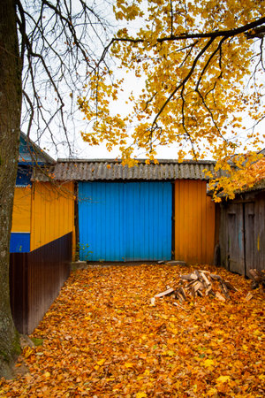 Yellow and blue colored fence in the village. Autumn time with yellow leaves on the trees. High quality photoの写真素材