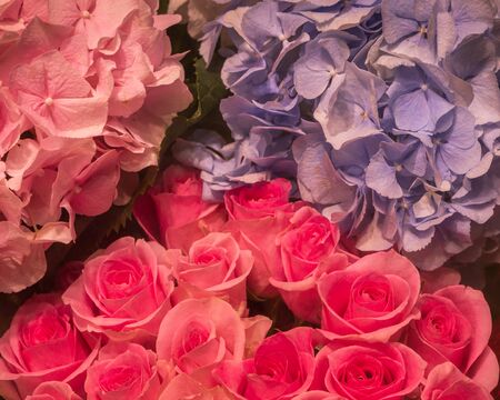 Pink roses bouquet and pastel color flowers, stylish valentine compliment, invitation card, macroの写真素材