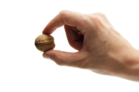 walnut,in man hand. isolated on white backgroundの写真素材