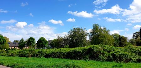 View of treetops and embankments in sunshine with blue skyの写真素材