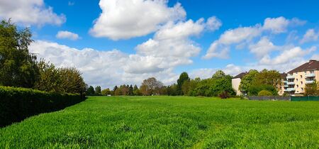 View over a green field in sunshine on a settlementの写真素材