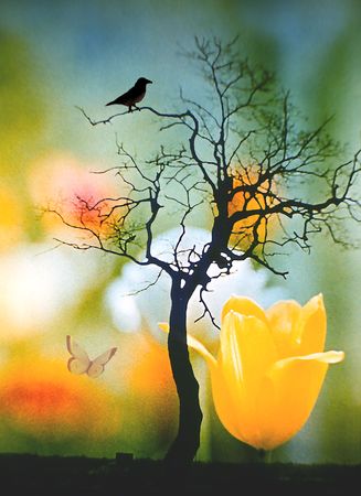 a short lifeの写真素材