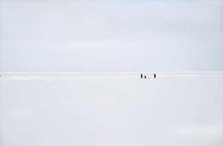 Baltic in the winter. The frozen gulf of Riga.の写真素材