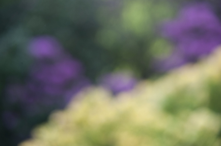 Background of beautiful, blurry, color spots.の写真素材