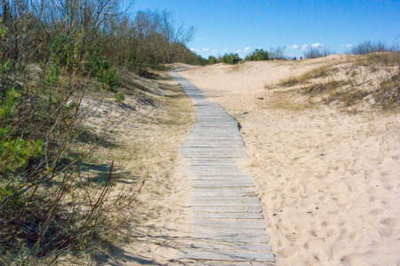 Europe, the Baltics, Latvia, Riga, Bolderaya. A walking path between the dunes at the shore of the...