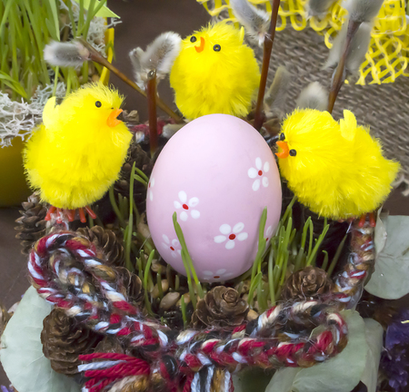 Traditional Easter motive. Chickens around, eggs, decorated with flowers, willow and pine cones in the green grass.の写真素材