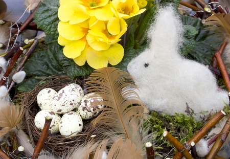Traditional Easter motive. Eggs in the nest, flowers, feathers, willow and bunny in the green grass.の写真素材