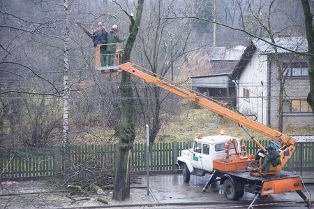 Cutting of branches of trees in the spring on a course of a trolleybus lineの写真素材